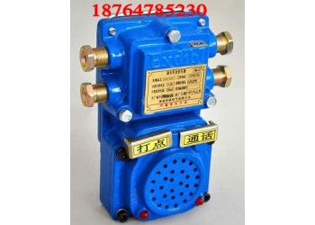 KXH127型礦用聲光組合信號器正規蟾皮價格不高