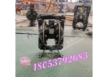廠家批發氣動隔膜泵BQG150/0.2隔膜,O型圈