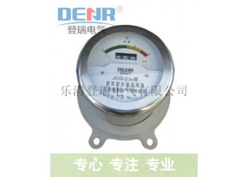 JS-10/800,JCQF2-10/800避雷器計數(shù)器