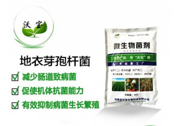 地衣芽孢桿菌飼料添加改善腸道吸收環(huán)境刺激生長