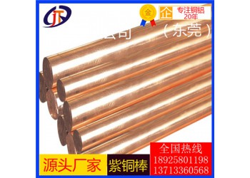 t2紫銅棒，c1100優質耐沖壓紫銅棒-t1大規格紫銅棒