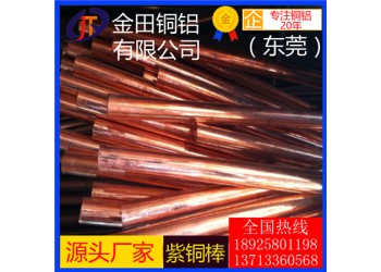 t4紫銅棒*高品質t1耐腐蝕紫銅棒，t5鍍錫紫銅棒