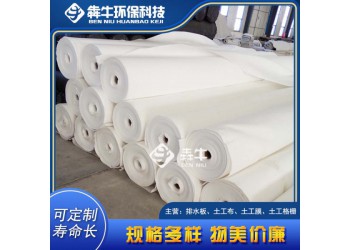 永州市屋頂綠化土工布型號齊全