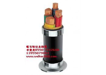 供應（維爾特）YJV電力電纜