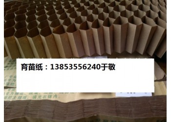 育苗紙鏈條式紙冊(cè)紙大蔥育苗紙蜂窩紙冊(cè)紙