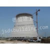 新建電廠煙囪/江蘇德盛集團(tuán)