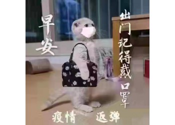 進口衣服鞋子如何清關(guān)運輸?shù)缴虾?> <p>
	進口衣服鞋子如何清關(guān)運輸?shù)缴虾?
</p>
<p>
	<br />
[/進口，是指將貨物從外國境外移送至我國境內(nèi)的行為。稅法規(guī)定，凡進入我國海關(guān)境內(nèi)的貨物，應于進口報關(guān)時向海關(guān)繳納進口環(huán)節(jié)增值稅。<br />
 清關(guān)（Customs Clearance）即結(jié)關(guān)，是指進口貨物、出口貨物和轉(zhuǎn)運貨物進入或出口一國海關(guān)關(guān)境或國境必須向海關(guān)申報，辦理海關(guān)規(guī)定的各項手續(xù)，履行各項法規(guī)規(guī)定的義務(wù)。<br />
size]
</p></div></div>
<div   id=