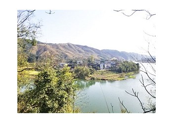 茶園加盟，茶山加盟，轉運珍茶