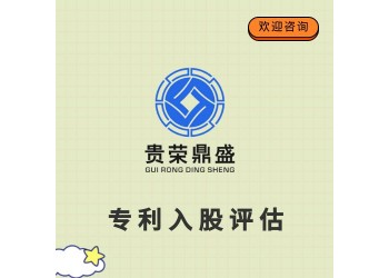 天津市知識產(chǎn)權(quán)評估專利入股評估技術(shù)軟著商標(biāo)評估