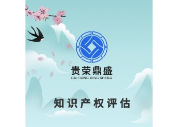 連云港市專利商標實繳評估股權價值評估知識產權評估