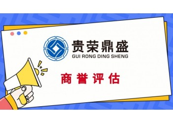 淮安市專利注資評估知識產權評估軟著商標出資評估
