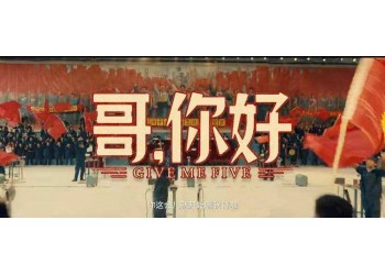 哥你好為什么撤檔?還可以投資嗎?