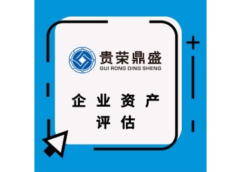 貴州省貴陽市企業(yè)股權(quán)價值評估股東價值評估企業(yè)負債評估