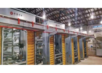 全自動撿蛋機蛋雞籠養殖設備遠卓農牧