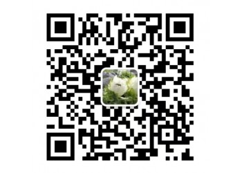 奇門遁甲2可以投資嗎?網絡電影值得投資嗎?投資成本是多少?