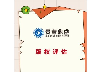 成都市新津區影視版權評估入資專利評估機構有哪些軟著權評估