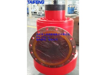 供應(yīng)廠家泰豐充液閥CF1-H300B