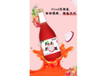 火龍果酒生產廠家代加工 各種果酒滋補酒批量加工 山東廠家