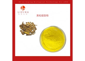 櫟萍生物推薦黃柏提取物黃連素97%98%鹽酸小檗堿97%
