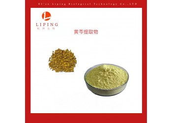櫟萍生物推薦黃芩提取物黃芩苷85%