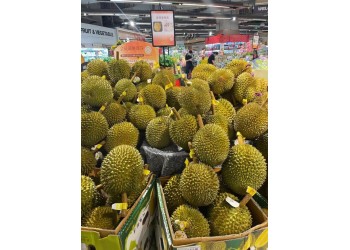 小道消息越南榴蓮進口天津清關(guān)注意事項