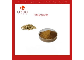 供應(yīng)水楊甙15%50%98%水楊苷15%50%98%