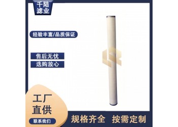 替代PECO派瑞燃?xì)饩劢Y(jié)濾芯PZC312CME 千陸生產(chǎn)