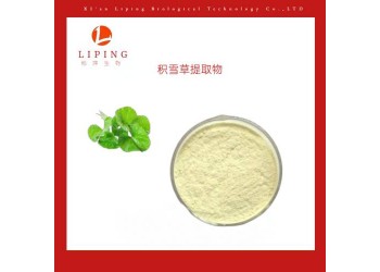 16830-15-2積雪草苷/甙10%-90%積雪草提取物