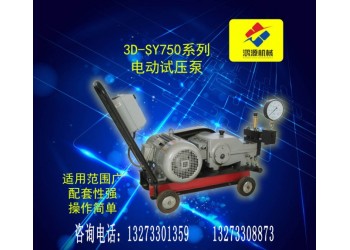 衡水鴻源廠家供應電動試壓泵 壓力自控打壓泵規格多樣