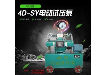 廠家供應(yīng)4DSY型電動試壓泵 多型號打壓泵