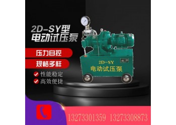 衡水廠家供應(yīng)2DSY電動試壓泵設(shè)備