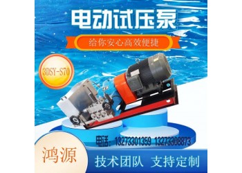 廠家3dsy系列試壓泵電動打壓泵  壓力自控電動試壓泵報(bào)價(jià)