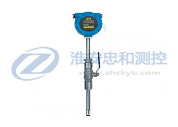 熱式氣體質(zhì)量流量計(jì)廠家,熱式氣體質(zhì)量流量計(jì)價(jià)格