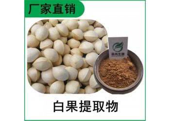 森冉生物 白果提取物 銀杏果提取物 比例提取原料粉
