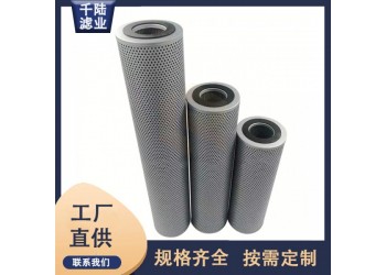 SF2446703C/SF25000895625UM吸油濾芯