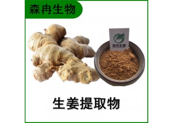 森冉生物 生姜提取物 干姜提取物 姜辣素