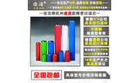 SYAF-T030 SYAF-A030杭州盛源管道精密濾芯