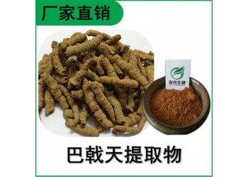 森冉生物 巴戟天提取物 三角藤提取物 植物提取原料粉
