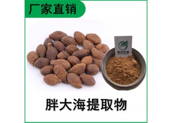 森冉生物 胖大海提取物 大洞果提取物 比例提取原料粉